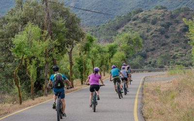 LLOGUER DE BICIS
