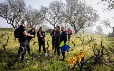 ENTRE CÒDOLS, DE L’ERMITA AL CELLER