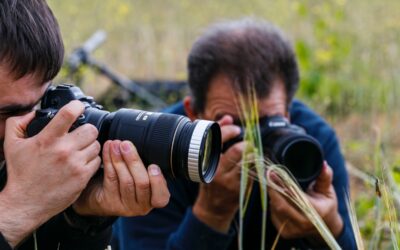 TALLER FOTOGRÀFIC DE MACRO  |  17/05/2025