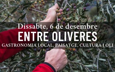 ENTRE OLIVERES – Experiència oleoturística al peus de Montsant