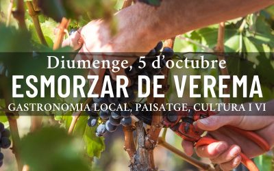 Esmorzar de Verema: viu la màgia del vi des de l’origen